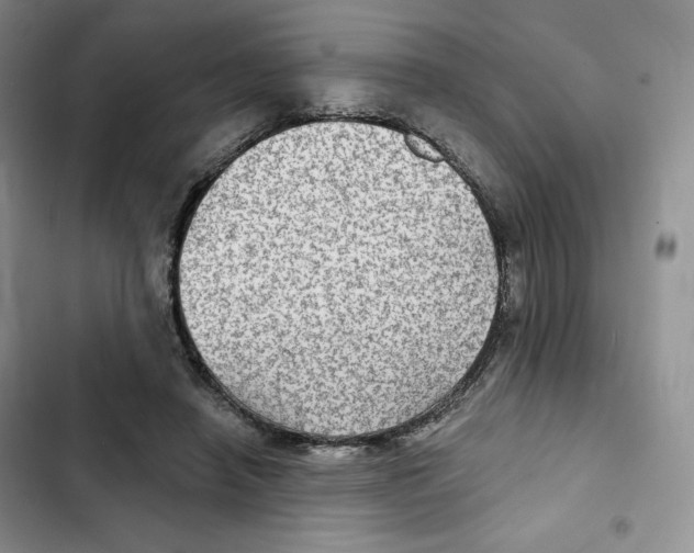 X0000102280450200808221308