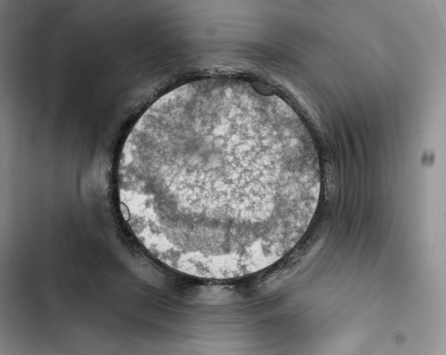 X0000102280451200808221308
