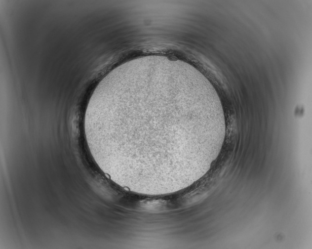 X0000102280452200808221308