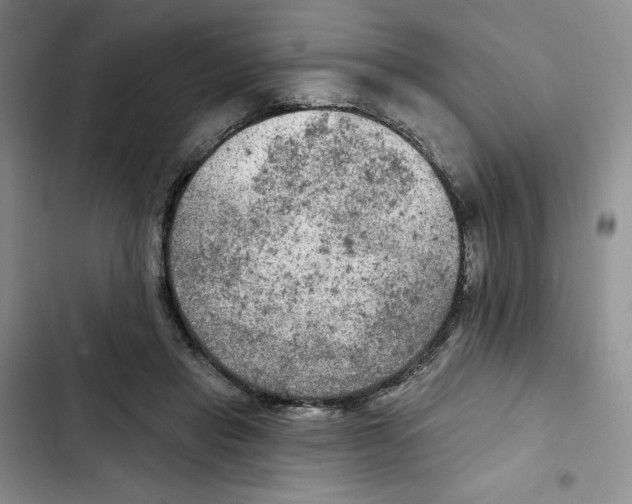 X0000102280453200808221308