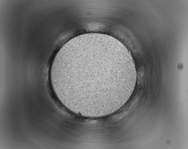 X0000102280454200808221308