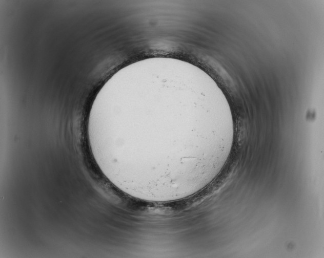 X0000102280455200808221308
