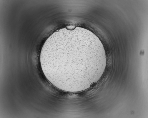 X0000102280456200808221308