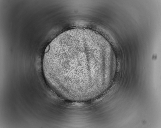 X0000102280457200808221308