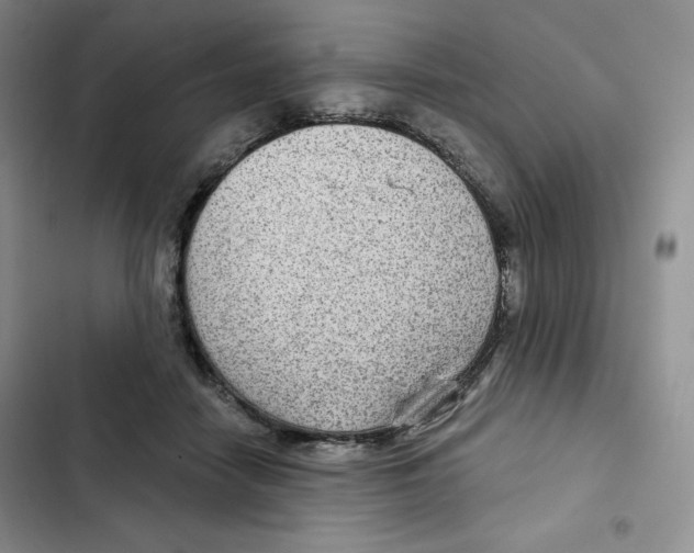X0000102280458200808221308