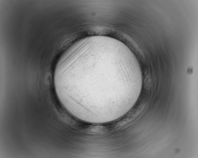 X0000102280459200808221308