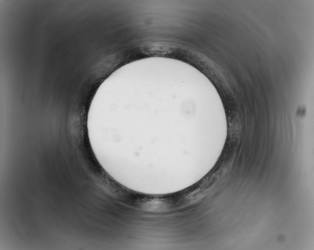 X0000102280460200808221308
