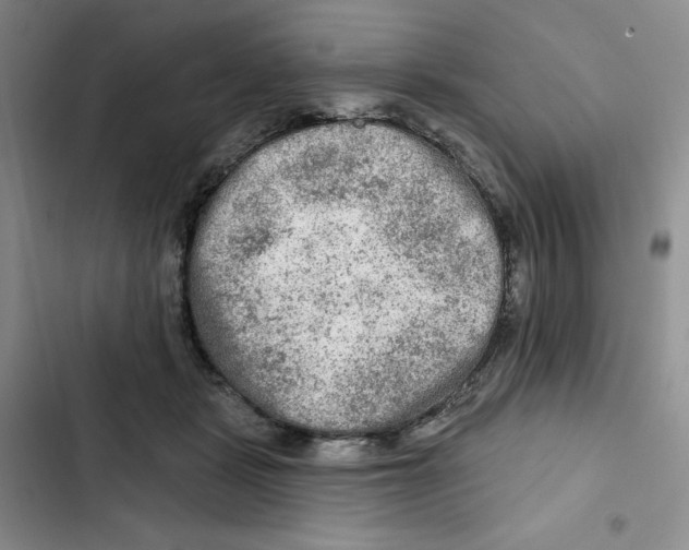 X0000102280461200808221308