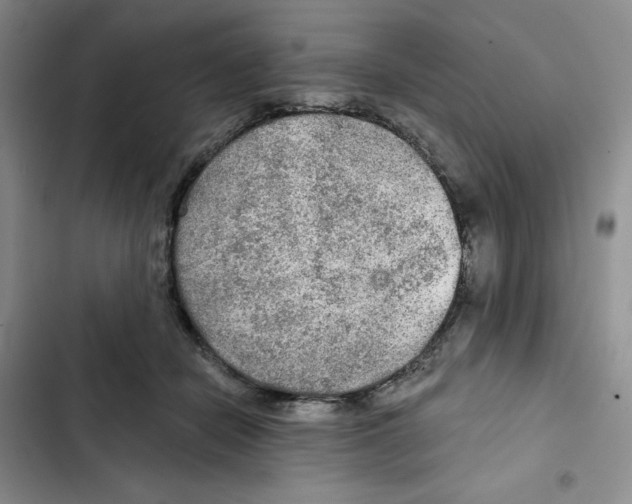 X0000102280462200808221308