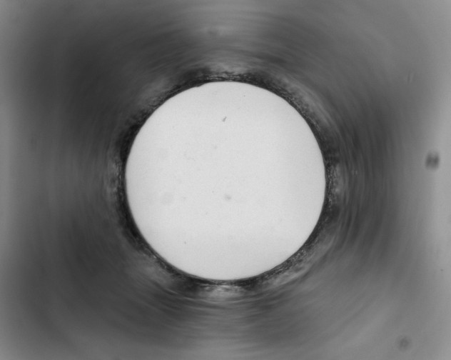 X0000102280463200808221308
