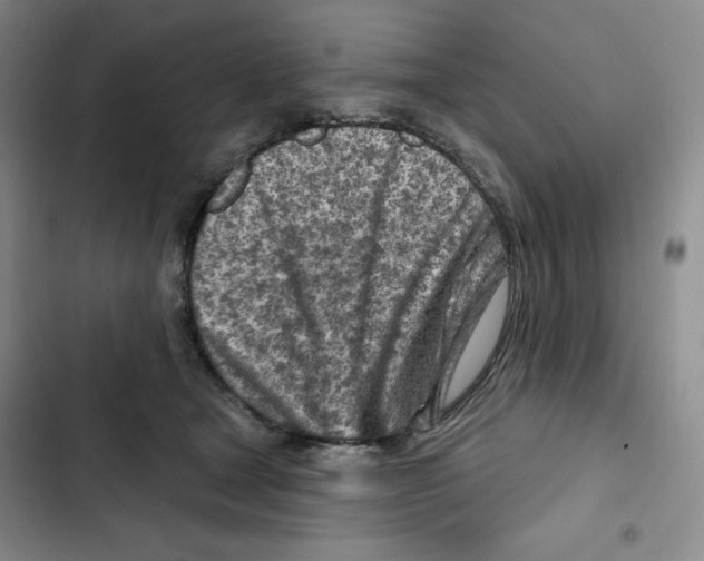 X0000102280465200808221308