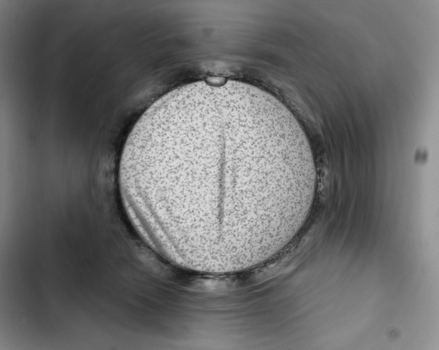 X0000102280466200808221308