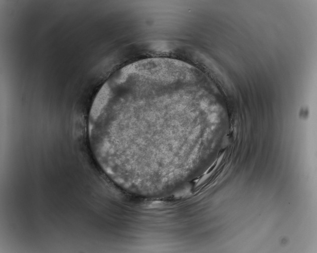 X0000102280467200808221308