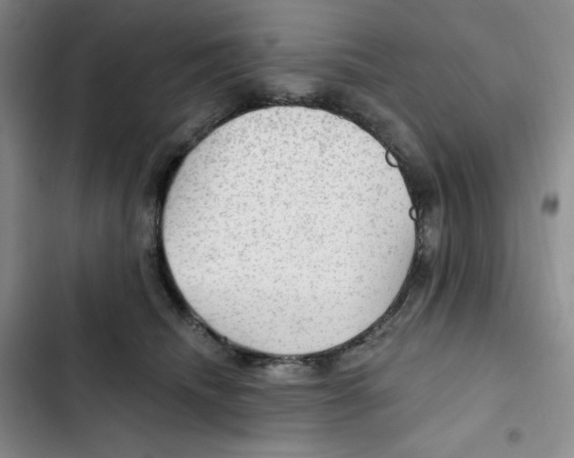 X0000102280468200808221308