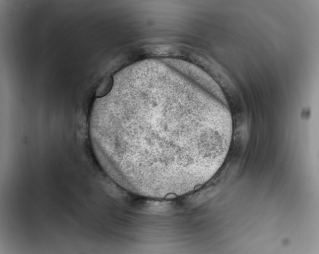 X0000102280469200808221308