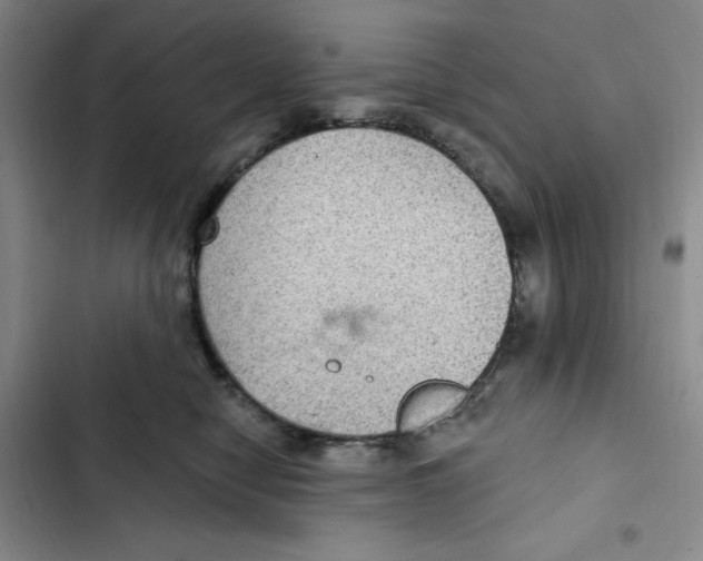 X0000102280470200808221308
