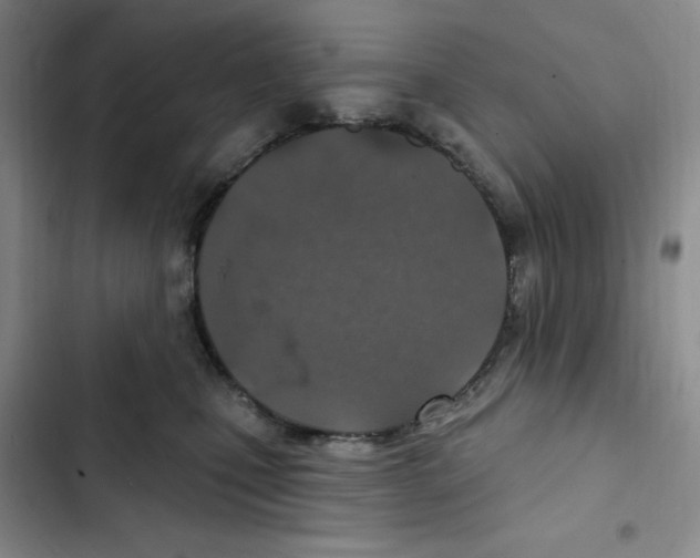 X0000102280471200808221308