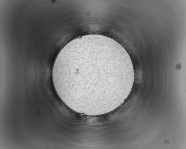X0000102280472200808221308