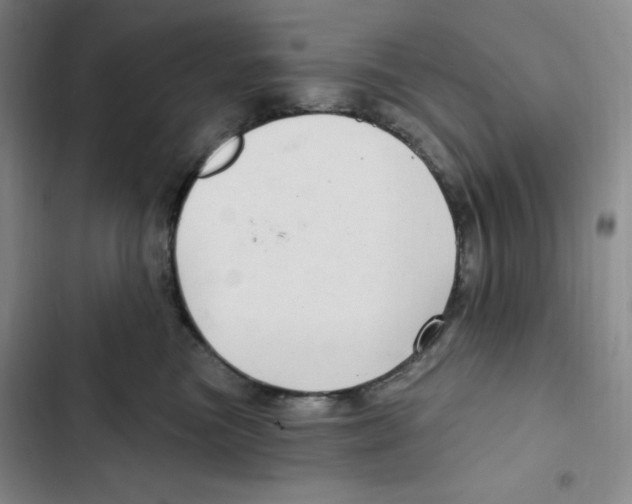 X0000102280473200808221308