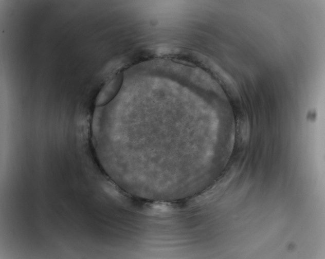 X0000102280475200808221308