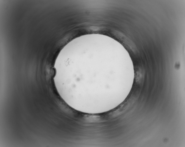 X0000102280476200808221308