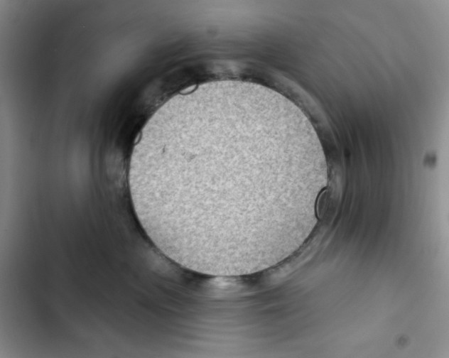 X0000102280477200808221308