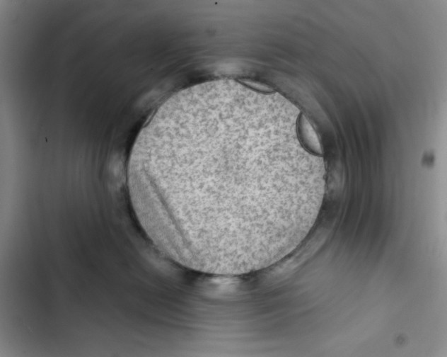 X0000102280478200808221308