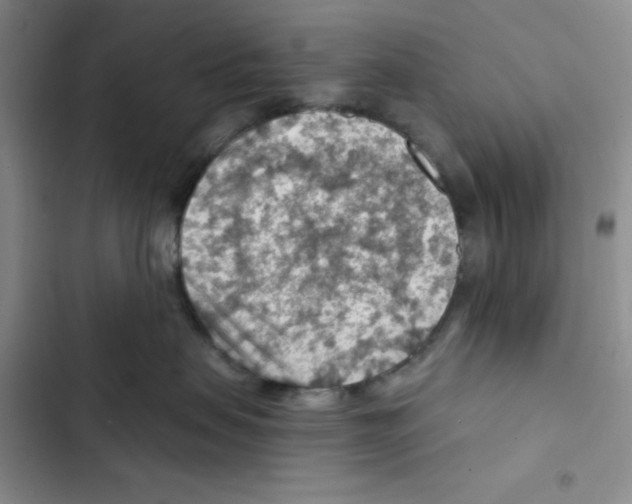 X0000102280479200808221308