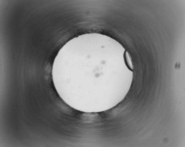 X0000102280480200808221308