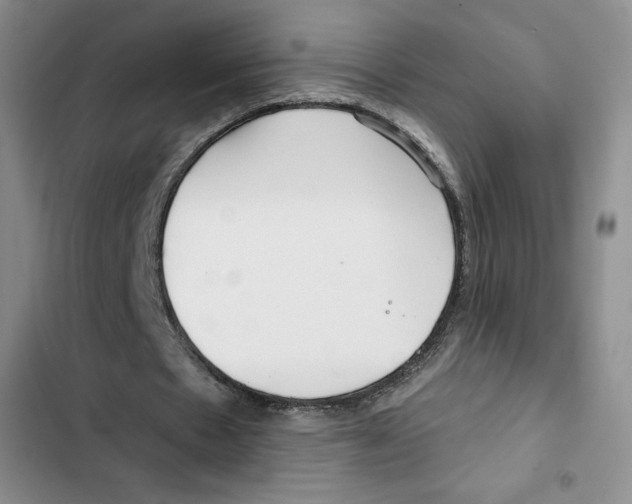 X0000102280481200808221307