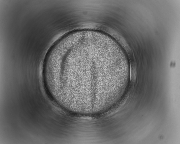 X0000102280483200808221307