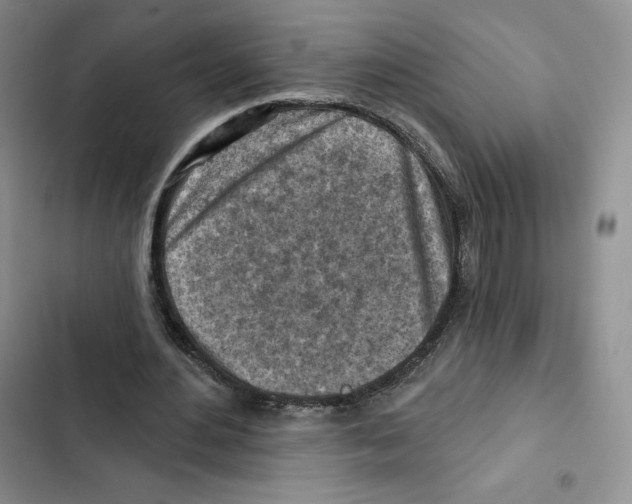X0000102280484200808221307