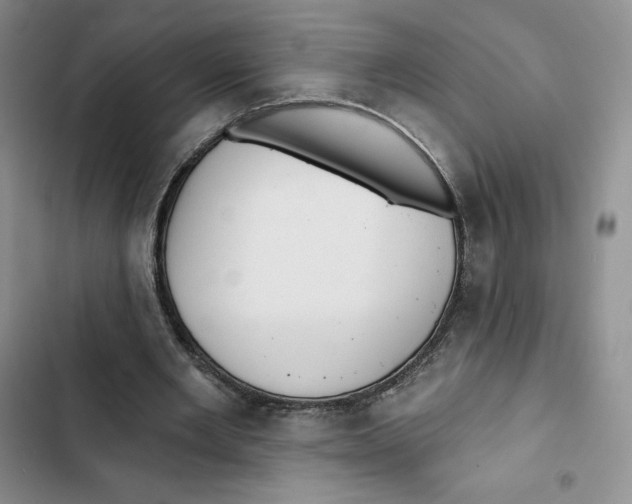 X0000102280485200808221307