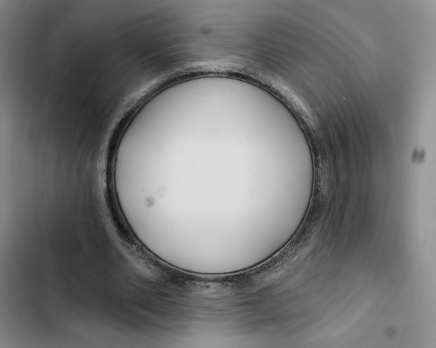 X0000102280486200808221307