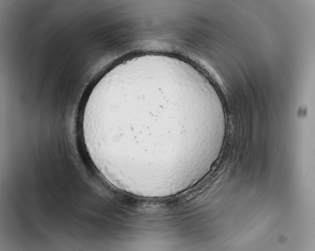 X0000102280487200808221307