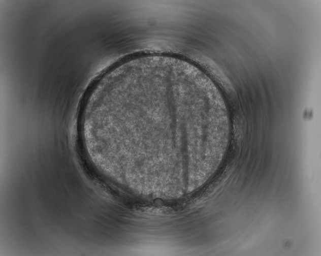 X0000102280488200808221307