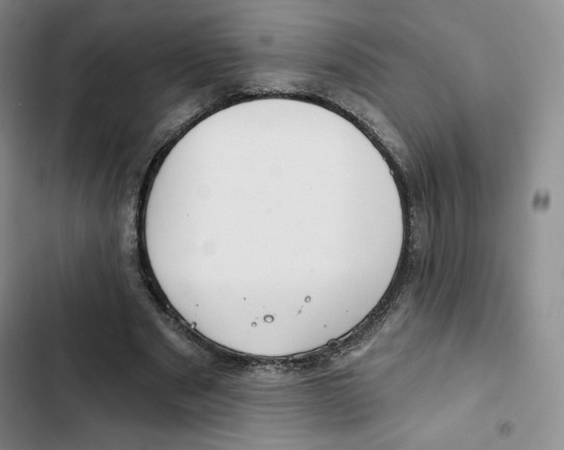 X0000102280489200808221307