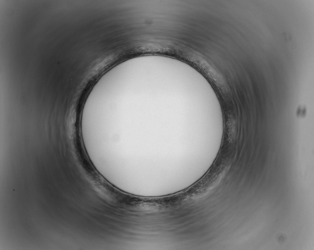 X0000102280490200808221307