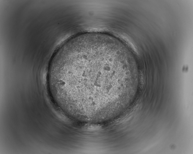 X0000102280491200808221307