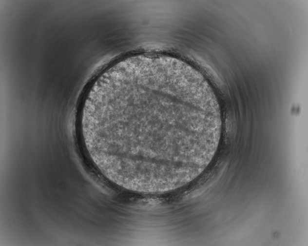 X0000102280492200808221307