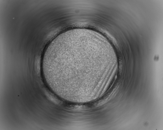 X0000102280493200808221307