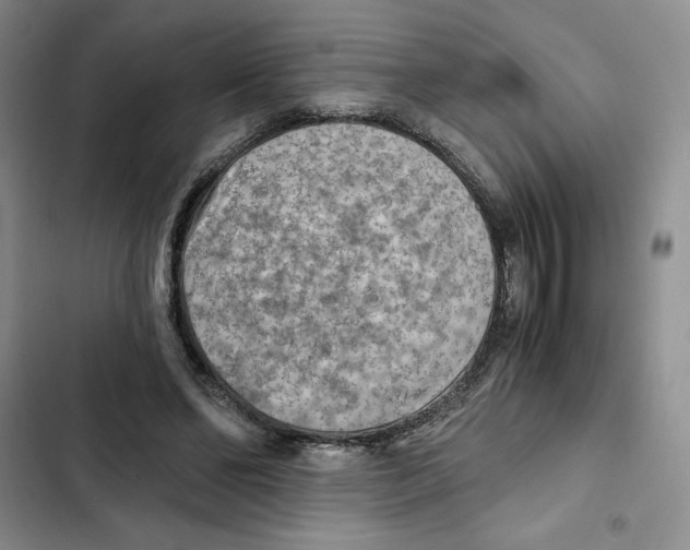 X0000102280494200808221307