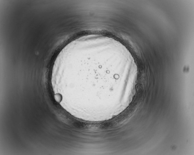 X0000102280495200808221307