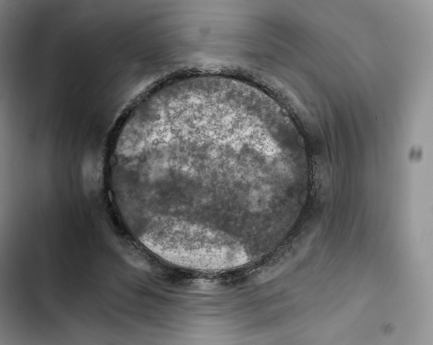 X0000102280496200808221307