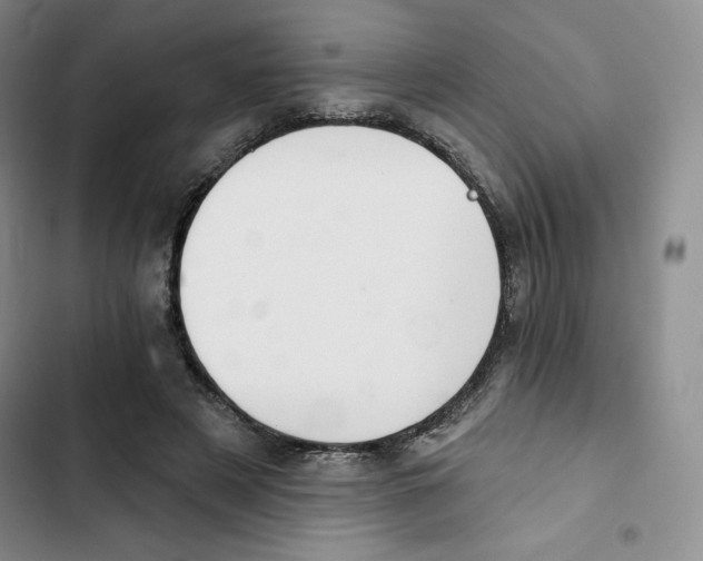 X0000102280497200808221307