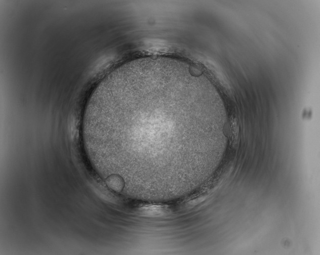 X0000102280499200808221307