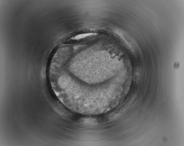 X0000102280500200808221307