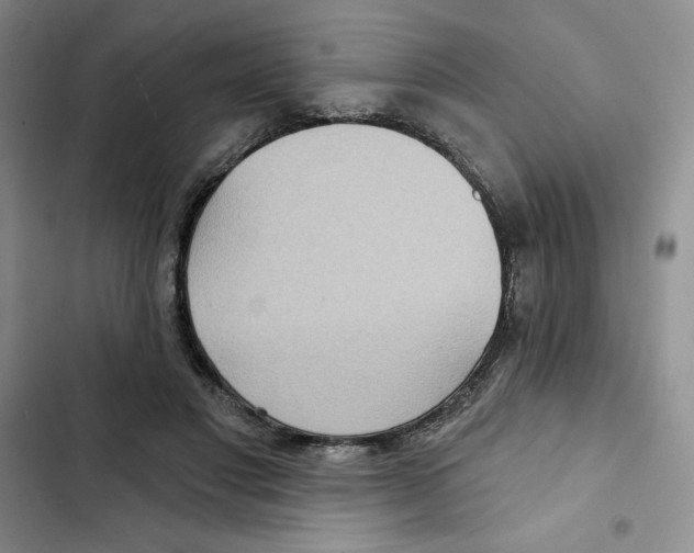 X0000102280501200808221307