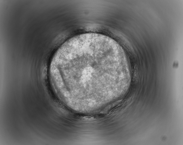 X0000102280502200808221307