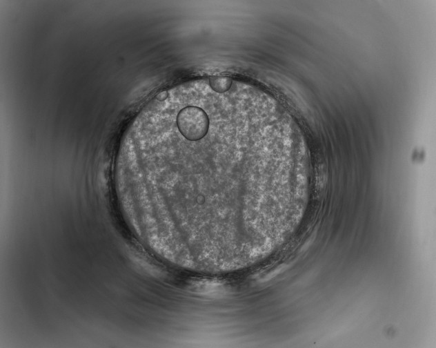 X0000102280503200808221307